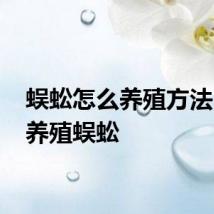 蜈蚣怎么养殖方法 如何养殖蜈蚣