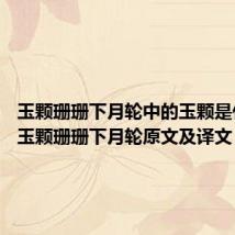 玉颗珊珊下月轮中的玉颗是什意思 玉颗珊珊下月轮原文及译文