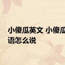 小傻瓜英文 小傻瓜用英语怎么说