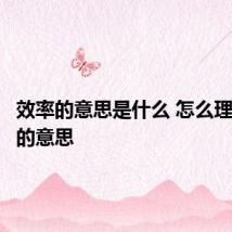 效率的意思是什么 怎么理解效率的意思