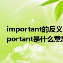 important的反义词 important是什么意思