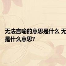 无法言喻的意思是什么 无法言喻是什么意思?