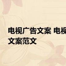 电视广告文案 电视广告文案范文
