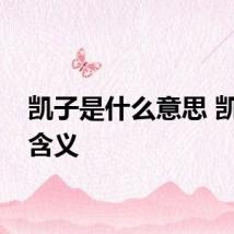 凯子是什么意思 凯子的含义