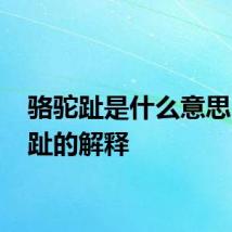 骆驼趾是什么意思 骆驼趾的解释