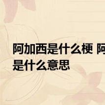 阿加西是什么梗 阿加西是什么意思