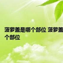 菠萝盖是哪个部位 菠萝盖位于哪个部位