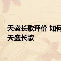 天盛长歌评价 如何评价天盛长歌