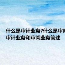 什么是审计业务?什么是审阅业务 审计业务和审阅业务简述