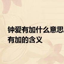 钟爱有加什么意思 钟爱有加的含义