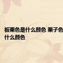 板栗色是什么颜色 栗子色发色是什么颜色