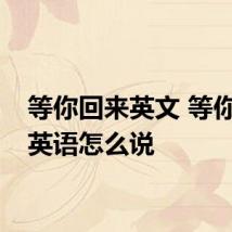 等你回来英文 等你回来英语怎么说