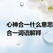 心神合一什么意思 心神合一词语解释