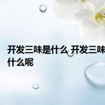 开发三味是什么 开发三味指的是什么呢