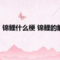 锦鲤什么梗 锦鲤的解释