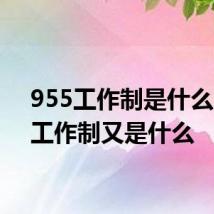 955工作制是什么 996工作制又是什么