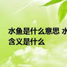 水鱼是什么意思 水鱼的含义是什么
