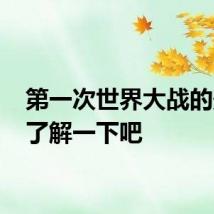 第一次世界大战的影响 了解一下吧