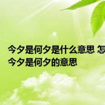 今夕是何夕是什么意思 怎么理解今夕是何夕的意思
