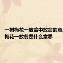 一树梅花一放翁中放翁的意思 一树梅花一放翁是什么意思