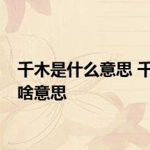 千木是什么意思 千木是啥意思