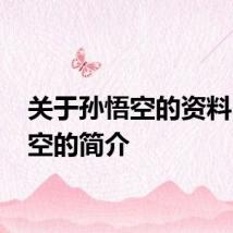 关于孙悟空的资料 孙悟空的简介