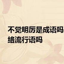 不觉明厉是成语吗 是网络流行语吗