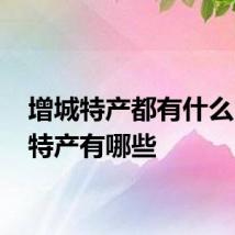 增城特产都有什么 增城特产有哪些