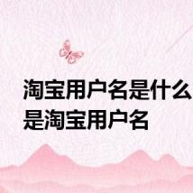淘宝用户名是什么 什么是淘宝用户名