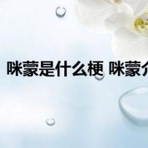 咪蒙是什么梗 咪蒙介绍