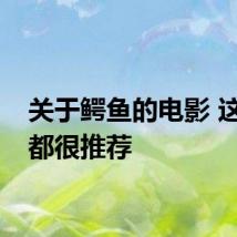 关于鳄鱼的电影 这几部都很推荐