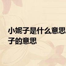 小妮子是什么意思 小妮子的意思