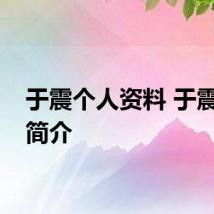 于震个人资料 于震个人简介