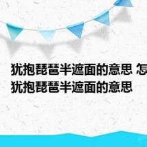 犹抱琵琶半遮面的意思 怎么理解犹抱琵琶半遮面的意思