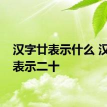 汉字廿表示什么 汉字廿表示二十