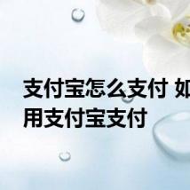 支付宝怎么支付 如何使用支付宝支付