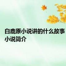 白鹿原小说讲的什么故事 白鹿原小说简介
