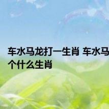车水马龙打一生肖 车水马龙打一个什么生肖