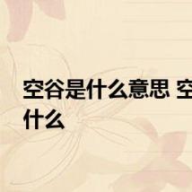 空谷是什么意思 空谷指什么