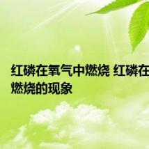 红磷在氧气中燃烧 红磷在氧气中燃烧的现象