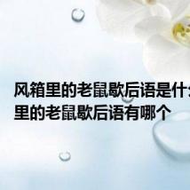风箱里的老鼠歇后语是什么 风箱里的老鼠歇后语有哪个
