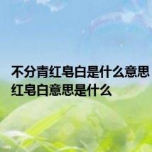 不分青红皂白是什么意思 不分青红皂白意思是什么