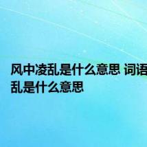 风中凌乱是什么意思 词语风中凌乱是什么意思