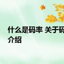 什么是码率 关于码率的介绍