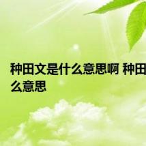 种田文是什么意思啊 种田文是什么意思