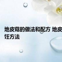 地皮菇的做法和配方 地皮菇的烹饪方法
