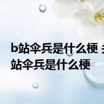 b站伞兵是什么梗 关于b站伞兵是什么梗