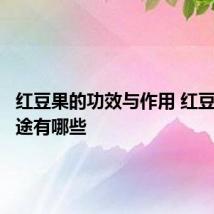 红豆果的功效与作用 红豆果的用途有哪些