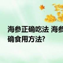 海参正确吃法 海参的正确食用方法?