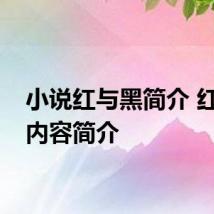 小说红与黑简介 红与黑内容简介
